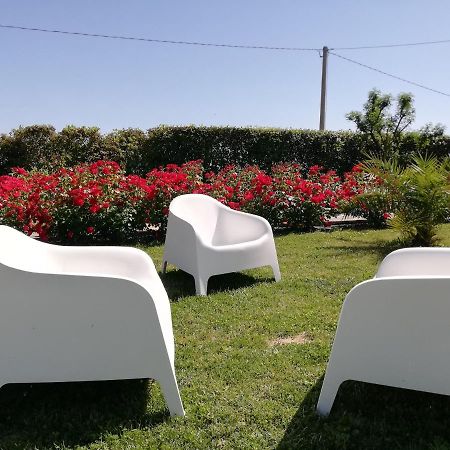 Casa Vacanze Angelica Ostra Vetere Eksteriør billede