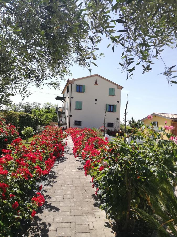 Casa Vacanze Angelica Ostra Vetere Eksteriør billede